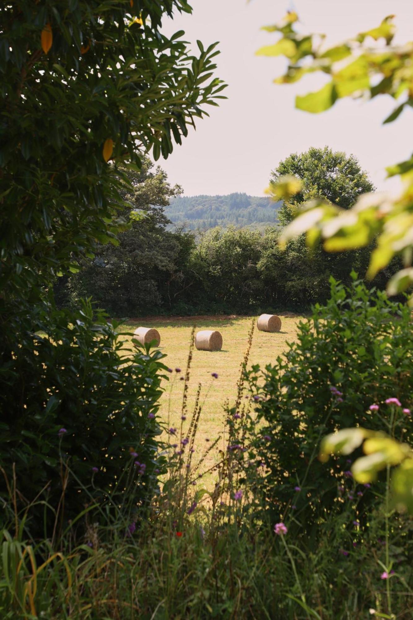 Chateau Gioux Saint-Pierre-Bellevue エクステリア 写真