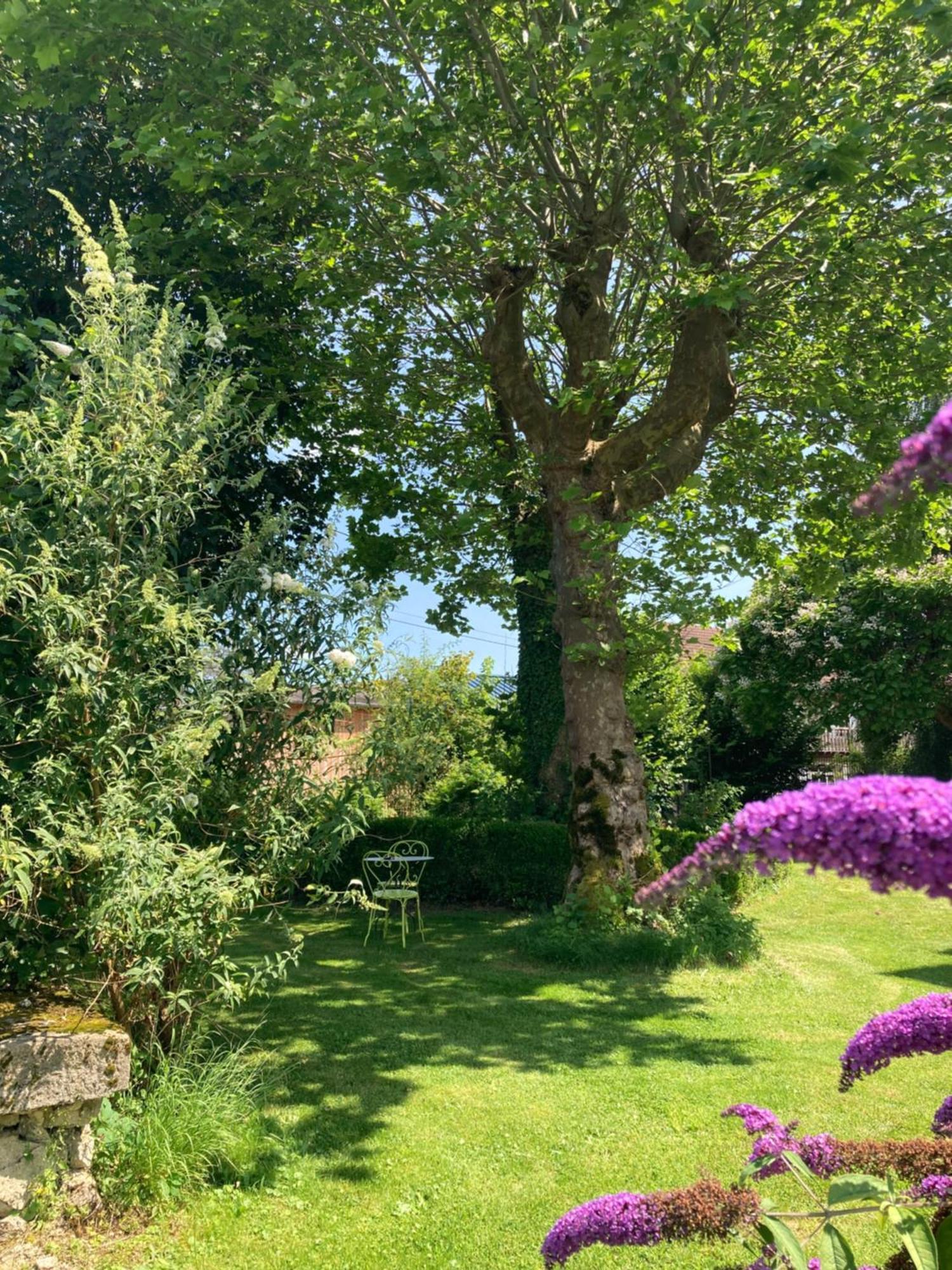 Chateau Gioux Saint-Pierre-Bellevue エクステリア 写真
